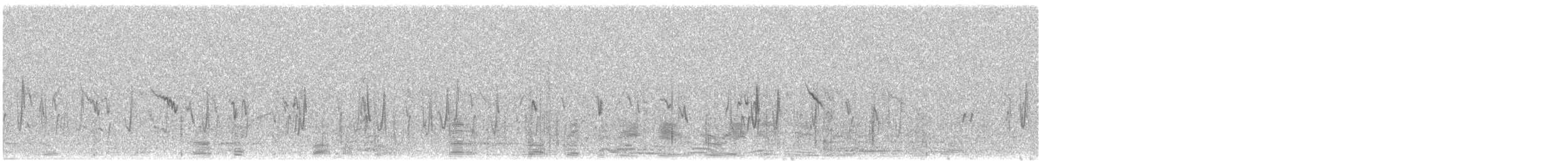 Alouette calandrelle - ML647236655