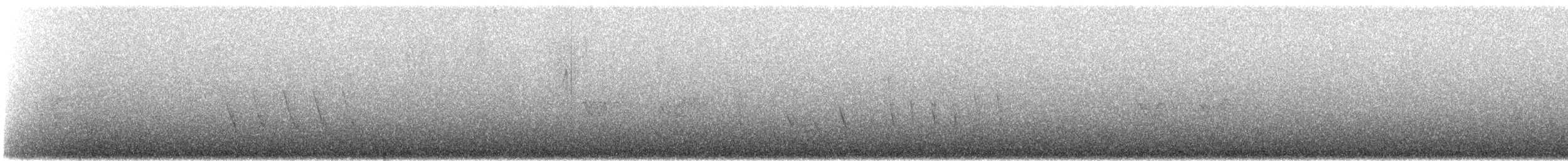 Carouge de Bolivie - ML647236748