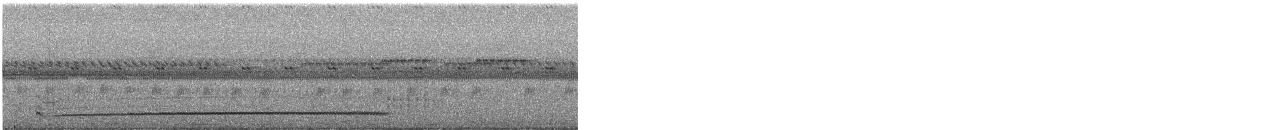 Доминиканский козодой - ML647237336