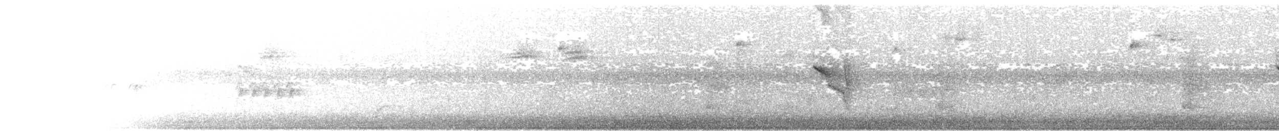 Tyran sociable - ML647237726