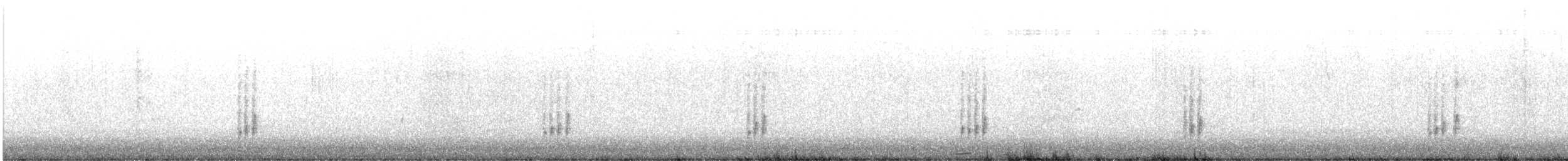 Carolina Wren - ML647238198