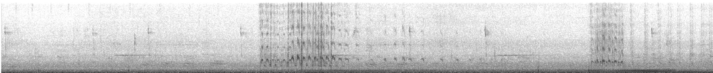 ナゲキバト - ML647238203
