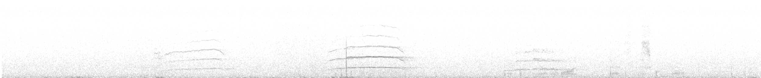 Northern Saw-whet Owl - ML647238458