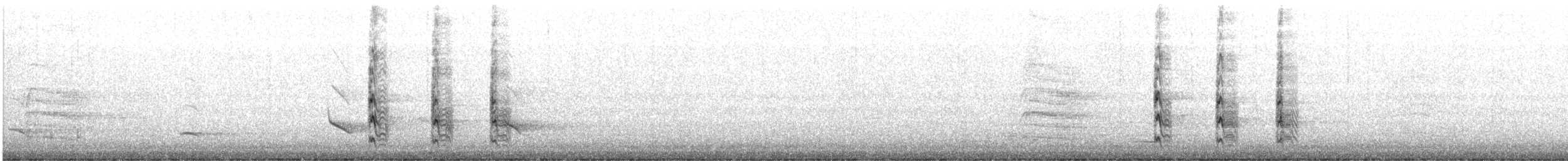 Red-bellied Woodpecker - ML647238606