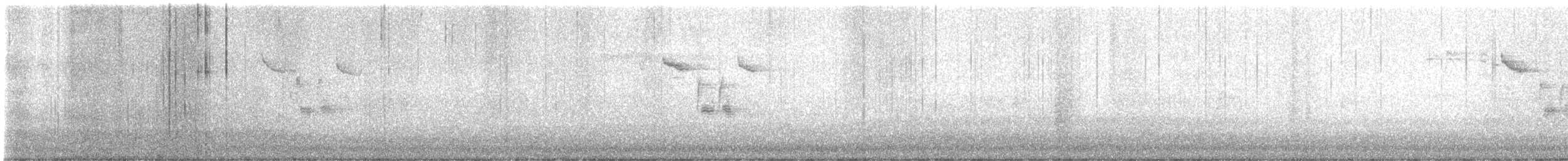 Kaskabeltz handia - ML647238704