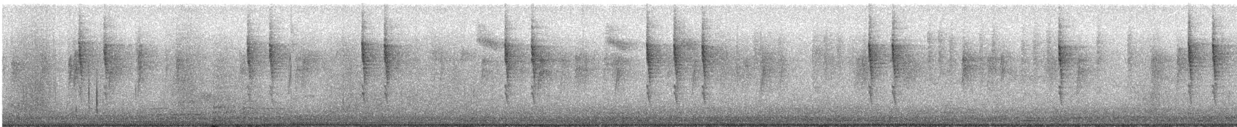 Pacific Wren - ML647238754