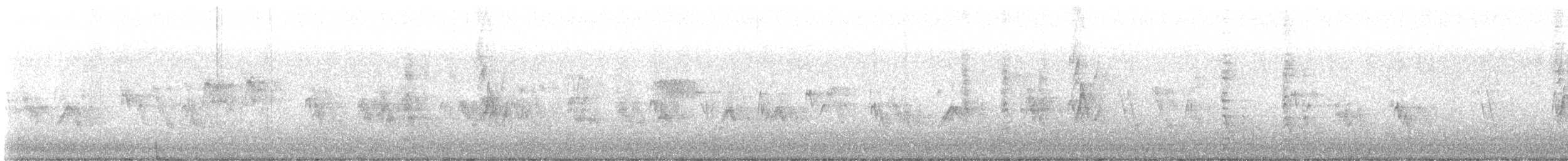 Red-bellied Woodpecker - ML647239283