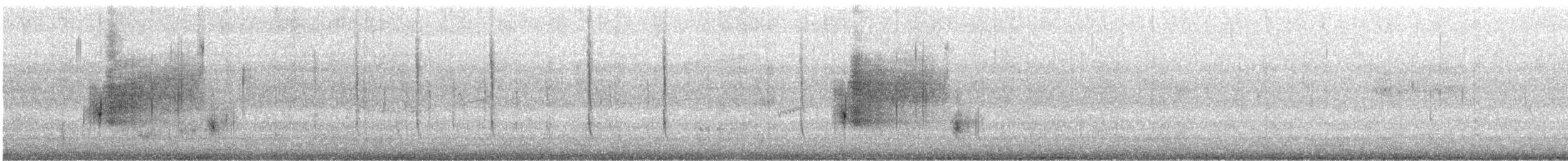 Nelson's Sparrow - ML647239399