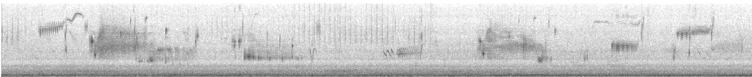 Saltmarsh Sparrow - ML647239402