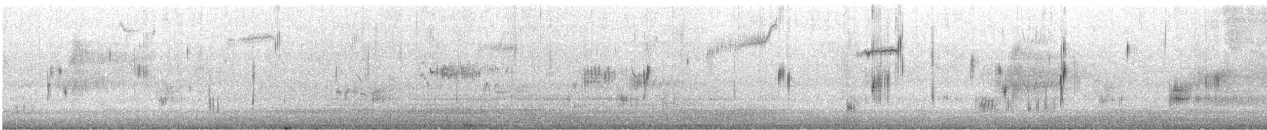 Saltmarsh Sparrow - ML647239403