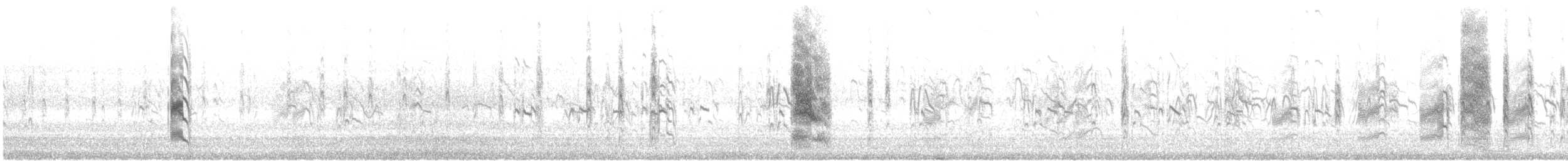 Txenadatxo antillarra - ML647239554