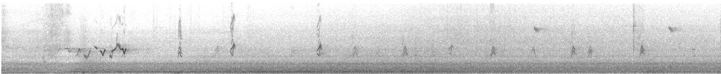 House Finch - ML647239886