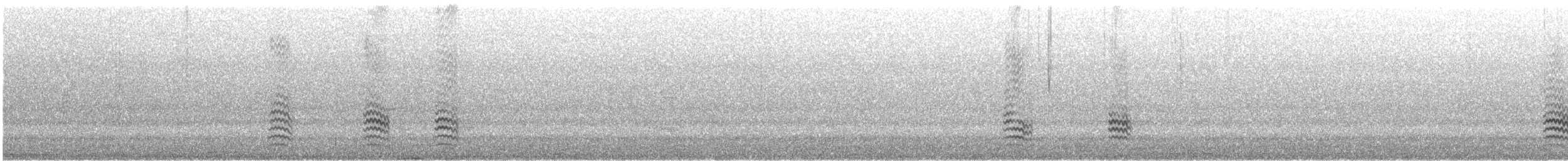 White-breasted Nuthatch (Eastern) - ML647239895