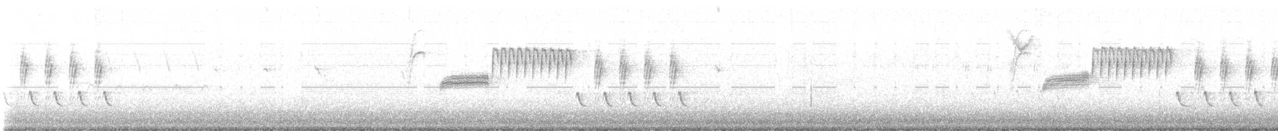 Bewick's Wren - ML647240263