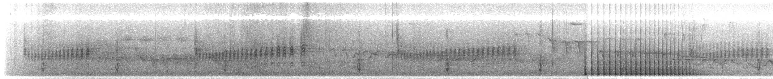 White-backed Woodpecker - ML647240783