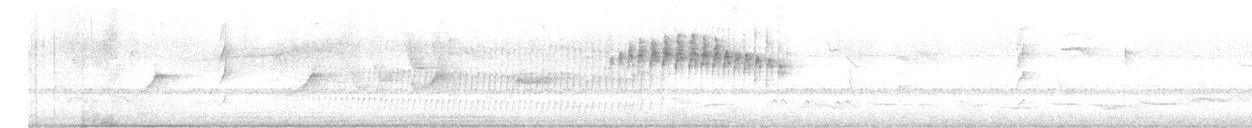 White-throated Spadebill - ML647241508