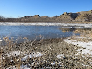 Lethbridge--Pavan Park, Lethbridge, Alberta, Canada - eBird Hotspot