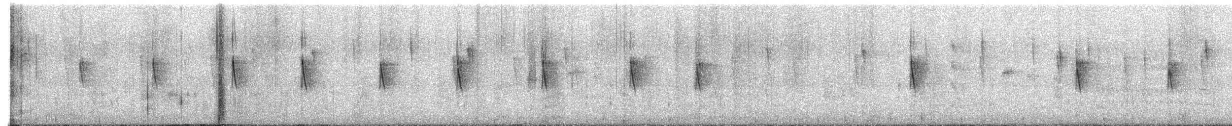 Mouse-colored Tyrannulet - ML647243661