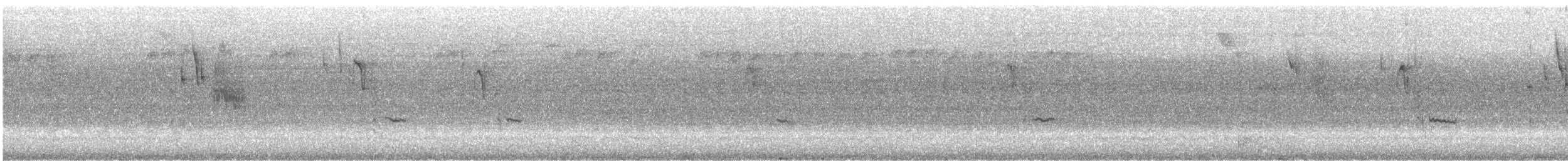 Каролинская гаичка - ML647244186