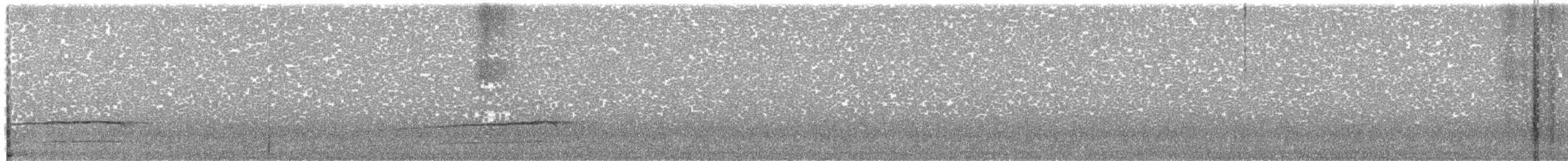 Northern Saw-whet Owl - ML647245096