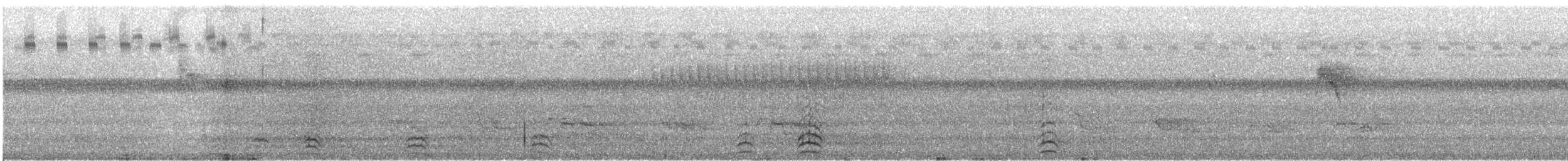 Common Raven - ML647246227