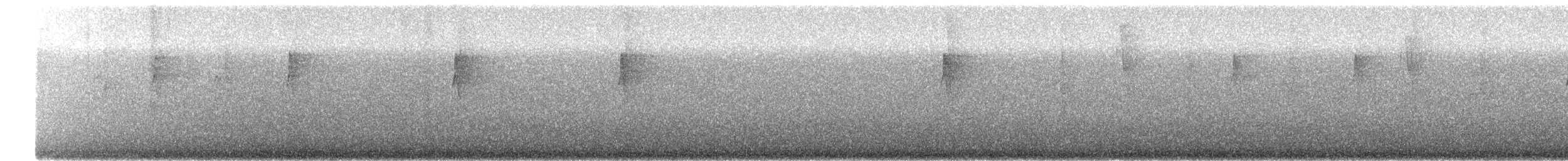 Violet Sabrewing - ML647246960