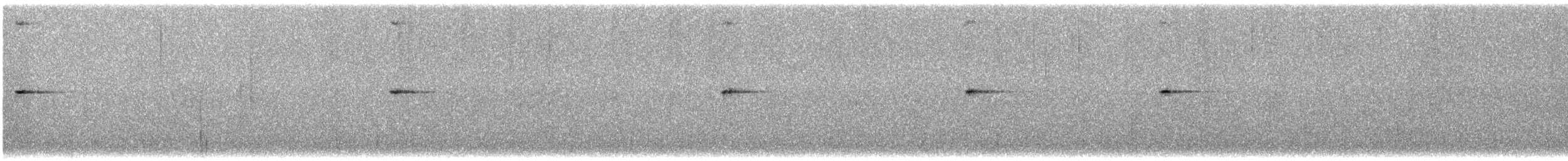 Silberhakenschnabel - ML647247429