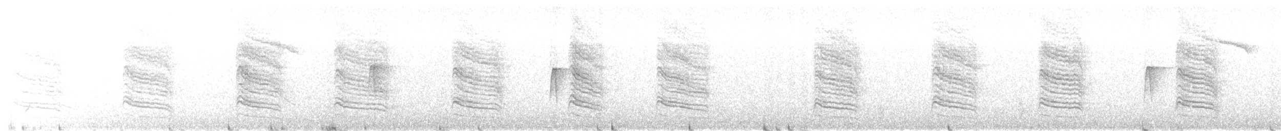 Katzenspottdrossel - ML647247734