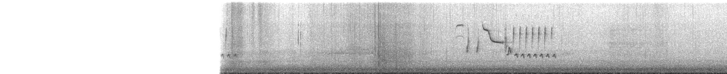 Buschzaunkönig - ML647248613