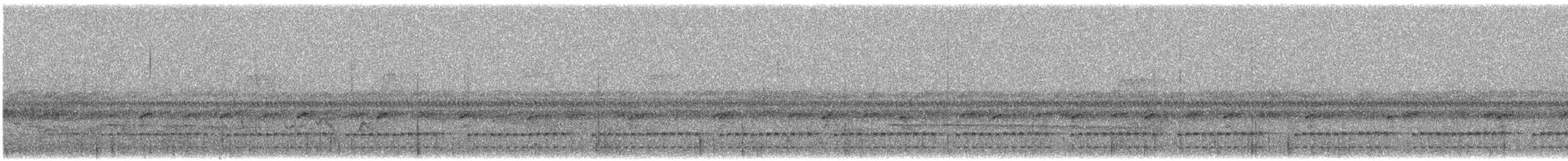 Tatamátapaculo - ML647248858