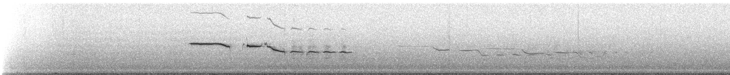 Kronenammer - ML647248987