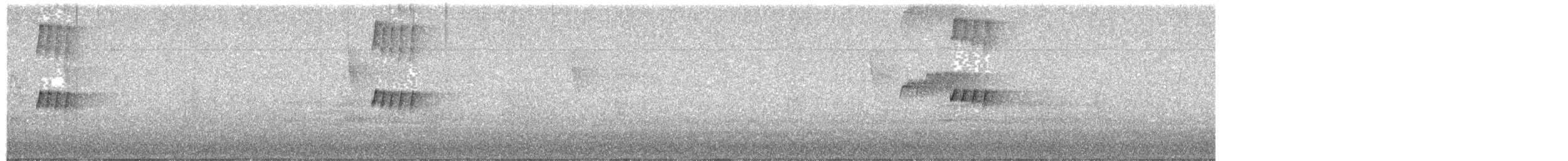 Graugelb-Todityrann - ML647249027