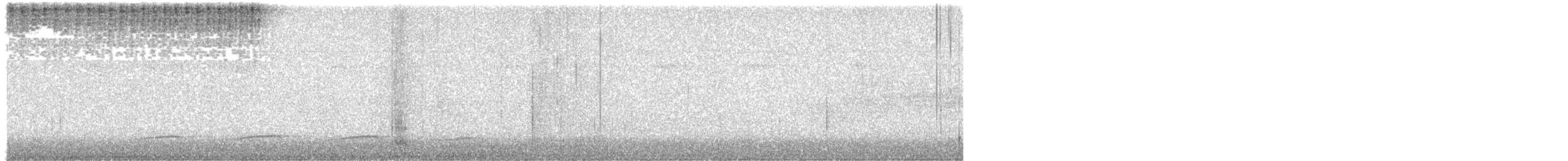 Zebraameisenwürger - ML647249091