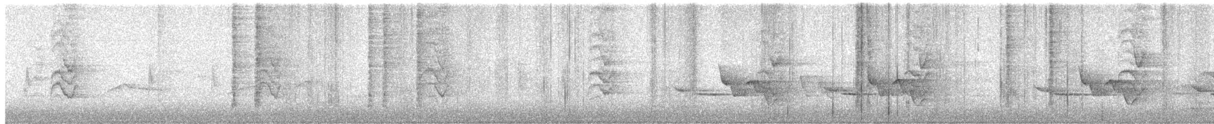 Rotbrust-Zaunkönig - ML647249130