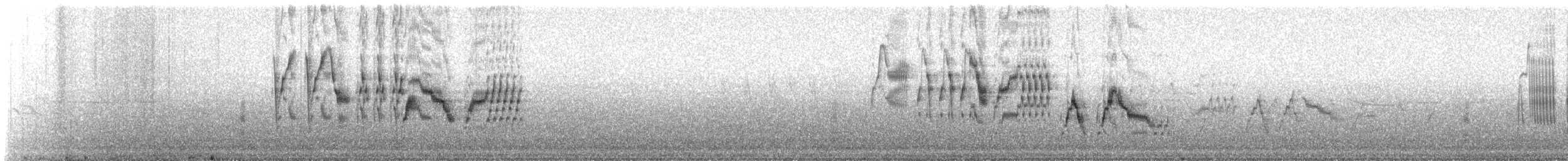 Grauwangen-Musendrossel - ML647249252