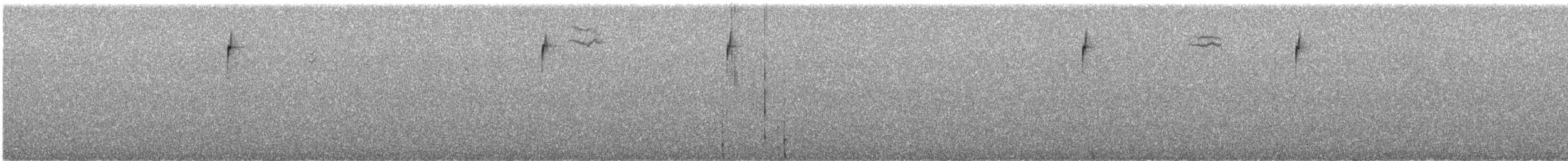 サメスズメモドキ - ML647249971