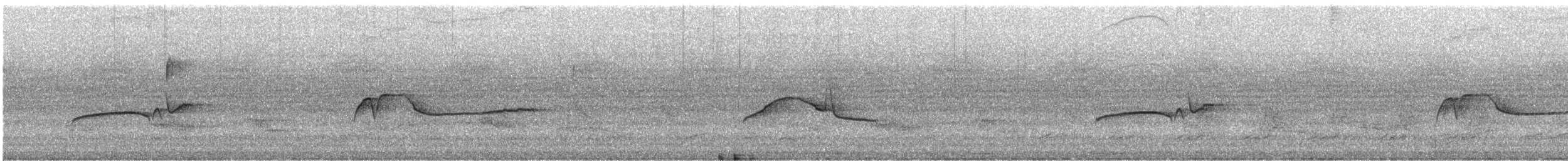 Eastern Wood-Pewee - ML647250121