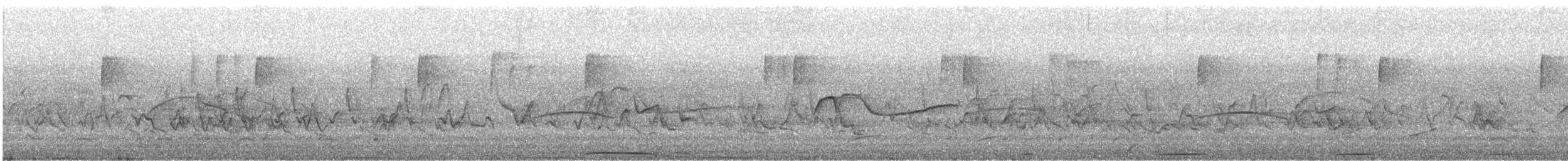 Barred Owl - ML647250130