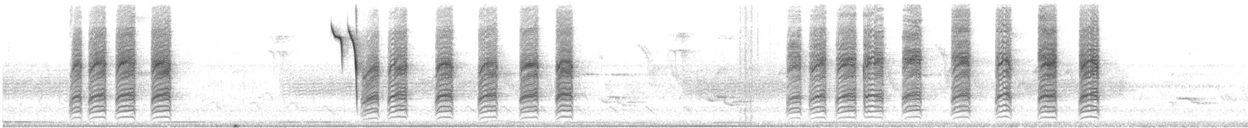 gråduskmeis - ML647250211