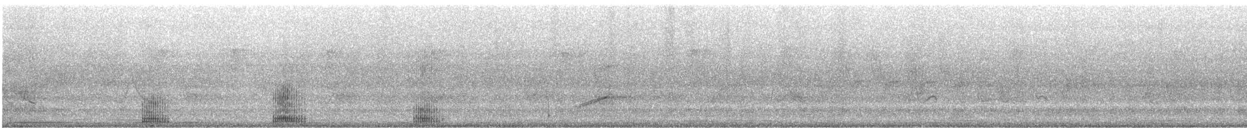 Koartza hauskara amerikarra - ML647250234