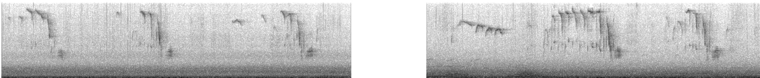 Каролинская гаичка - ML647250866