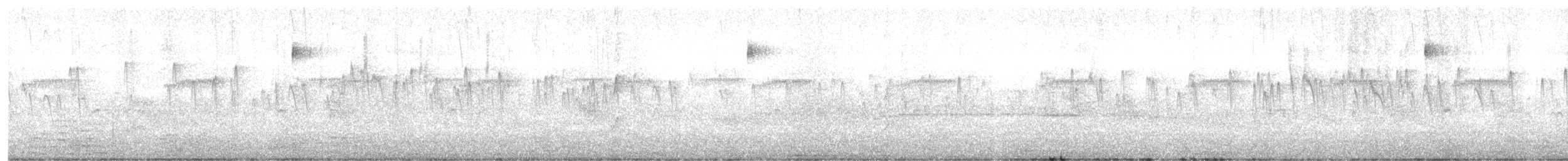 Vencejo de Tormenta - ML647251705