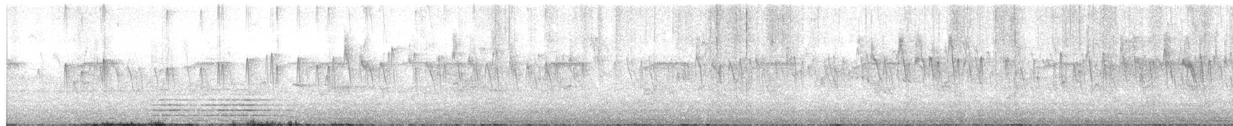 Vencejo de Tormenta - ML647251706