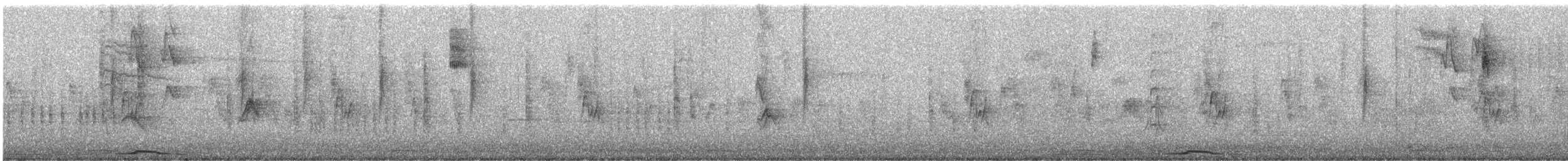 ナゲキバト - ML647252385