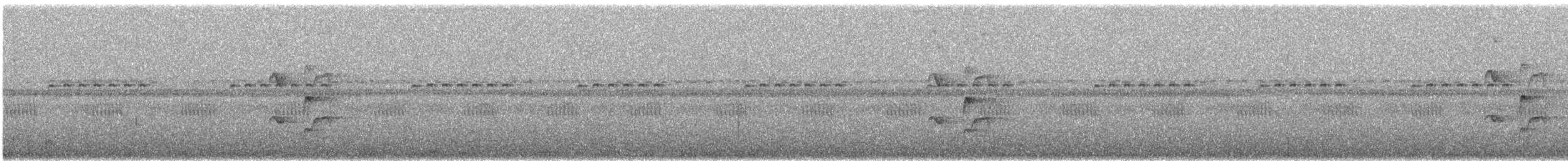 Sooty-fronted Spinetail - ML647253913