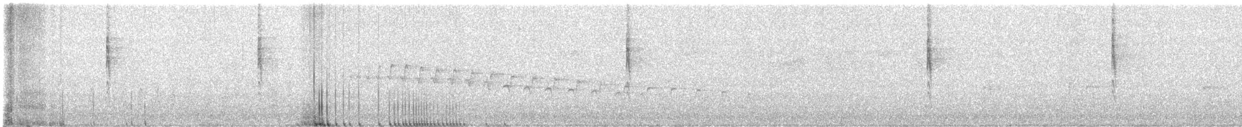 Wilson's Warbler - ML647255026