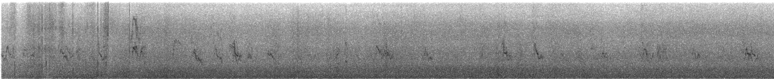 House Sparrow - ML647255750