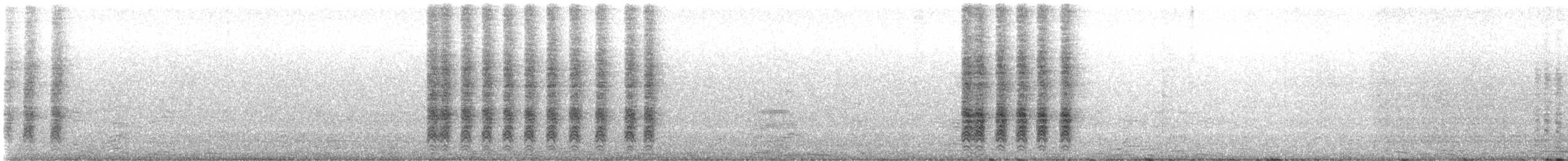 Акапулькская сойка - ML647256631