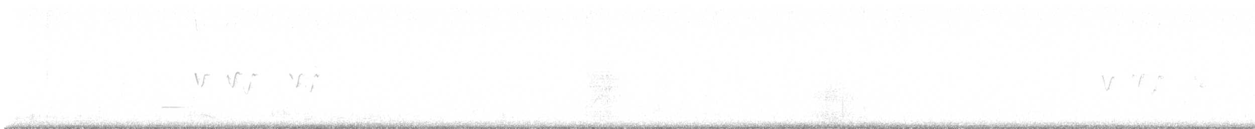 Воробьиная овсянка - ML647256855