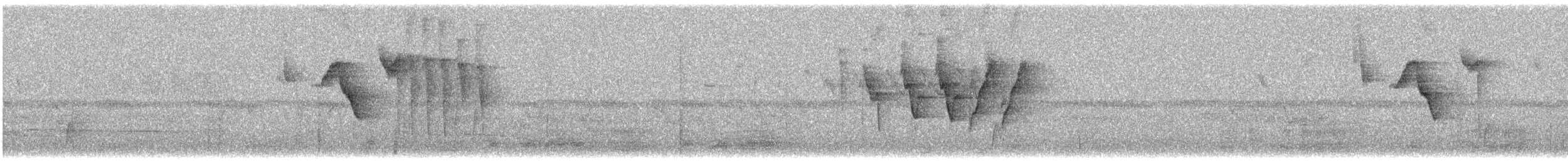 Желтоголовая атлапета - ML647256878